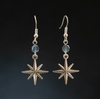 Star Burst Earrings